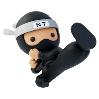 Black belt ninja