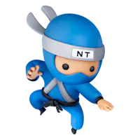 Blue belt ninja