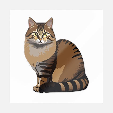 Brown Stripe Cat - Ninja Transfers