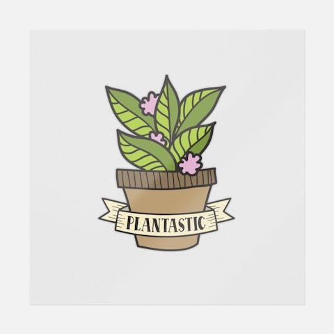 Plantastic - Ninja Transfers
