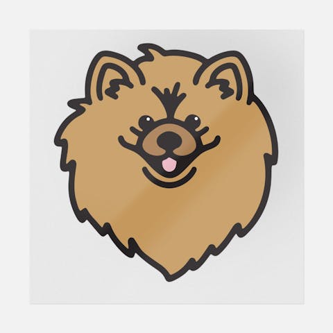 Pomeranian - Ninja Transfers