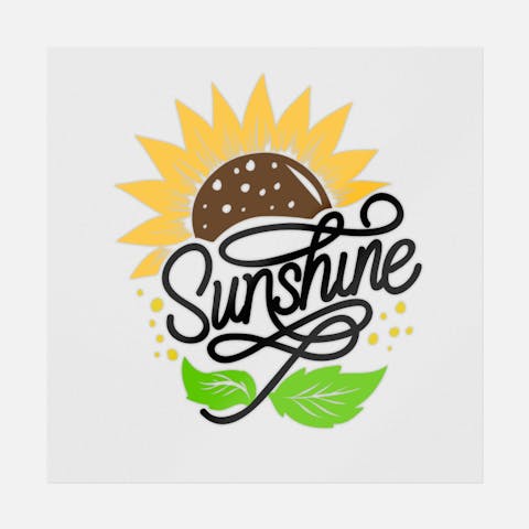 Sunshine - Ninja Transfers