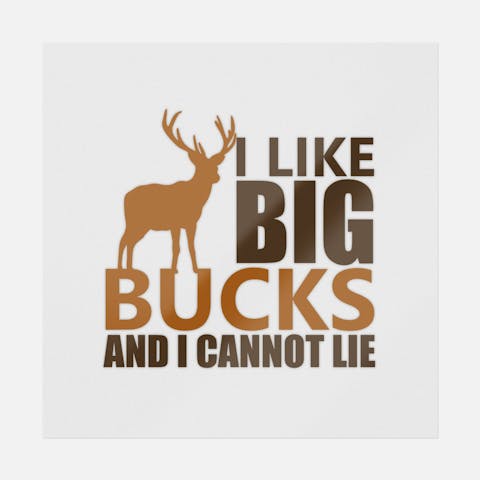 I Like Big Bucks And I Cannot Lie