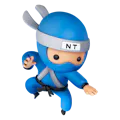 Blue Belt