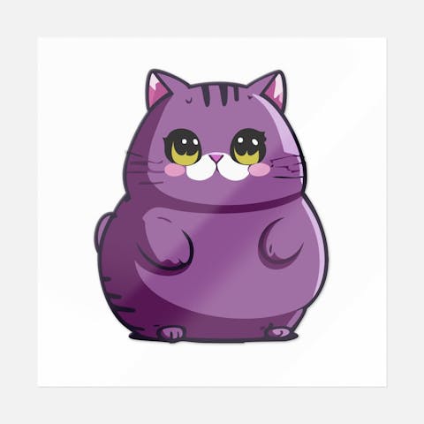 Fluffy Purple Cat