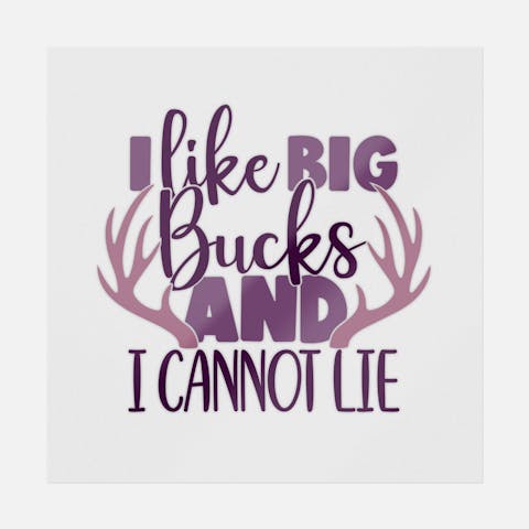 I Like Big Bucks And I Cannot Lie