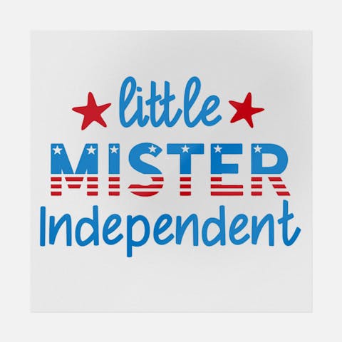 Little Mister Independent