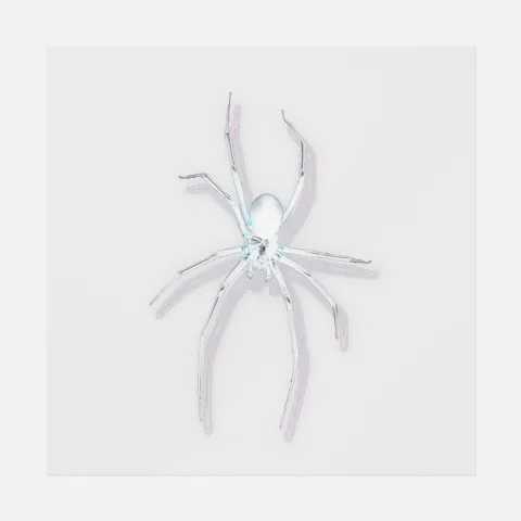 Oversized Spider Ready-to-Press DTF Transfer