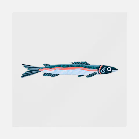 Sardine Fish Ready-to-Press DTF Transfer