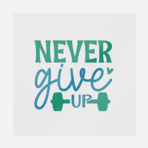 Never Give Up