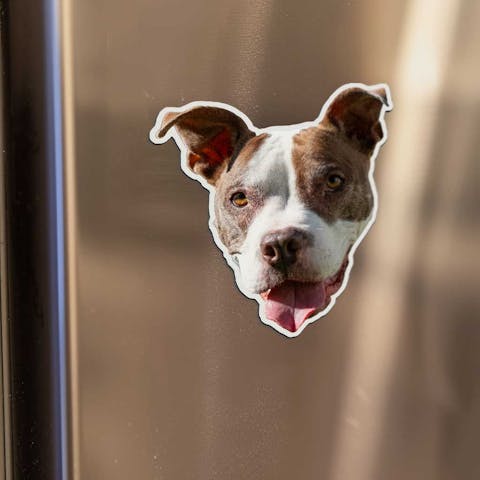 Custom Photo Magnets