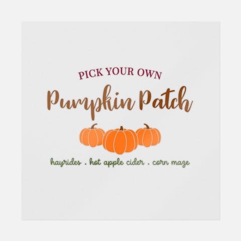 Pick Your Own Pumpkin Patch