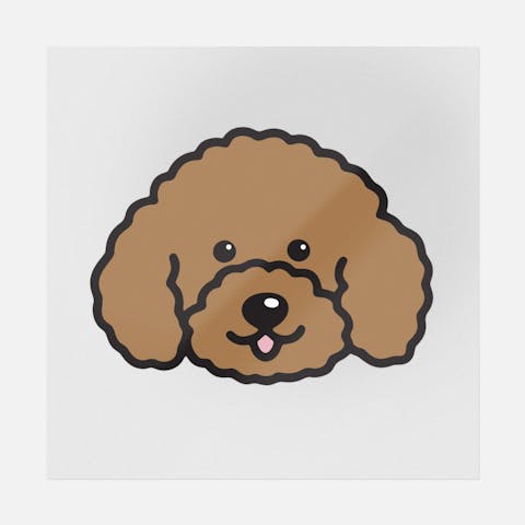 Poodle