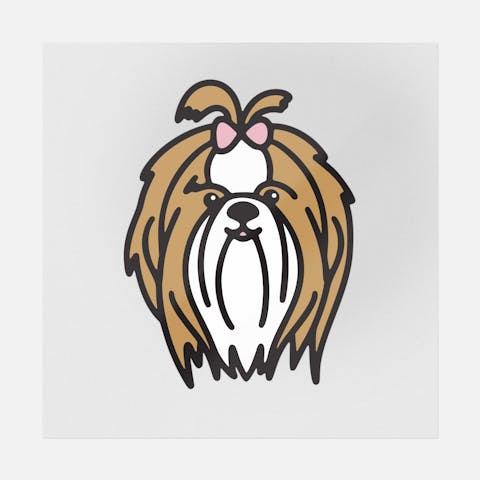 Shih Tzu