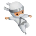White Belt