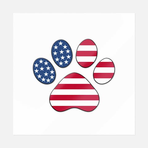 American Dog Paws With Outline Sticker (Colored) - Ninja Transfers