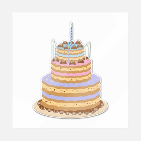 Birth Date - Ninja Transfers
