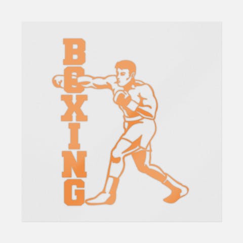 Boxing - Ninja Transfers