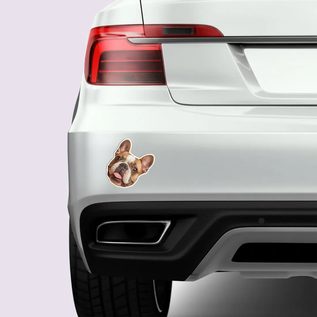 Custom Magnets