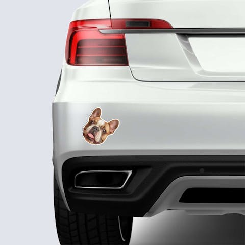 Custom Bumper Magnets