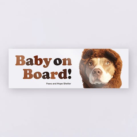 Custom Bumper Stickers - Ninja Transfers