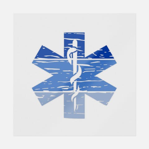 Distressed Star Of Life - Ninja Transfers