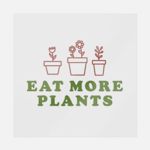 Eat More Plants - Ninja Transfers