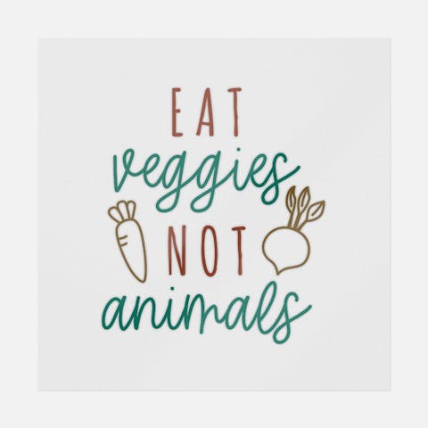 Eat Veggies Not Animals - Ninja Transfers