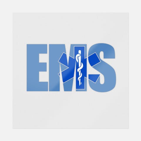 EMS Regular - Ninja Transfers