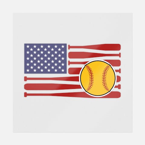 Flag Softball - Ninja Transfers