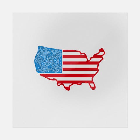 Floral USA Flag - Ninja Transfers