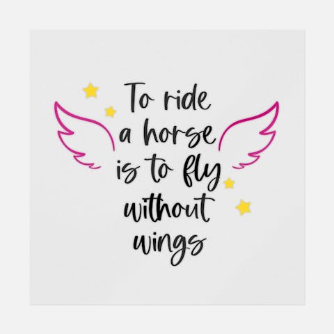 Fly Without Wings - Ninja Transfers