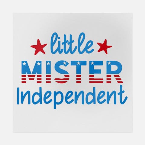 Little Mister Independent - Ninja Transfers