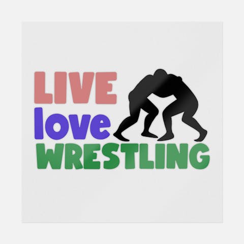 Live Love Wrestling - Ninja Transfers