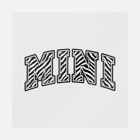 Mini Zebra Print Varsity Letters Ready-to-Press DTF Transfer