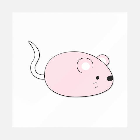 Mouse Toy - Ninja Transfers