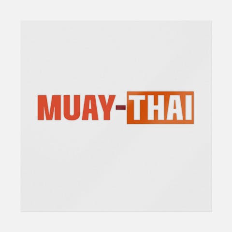 Muay Thai Martial Art - Ninja Transfers