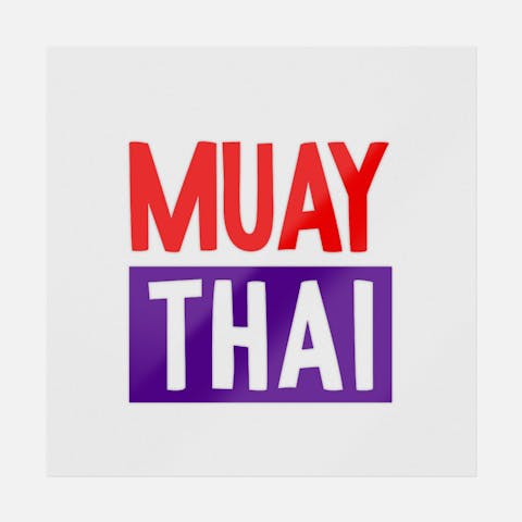 Muay Thai - Ninja Transfers