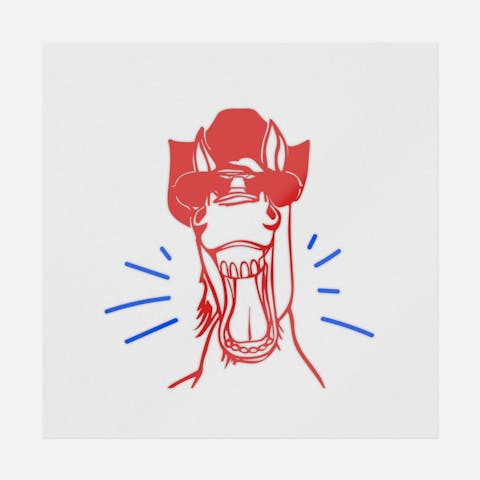 Neigh - Ninja Transfers