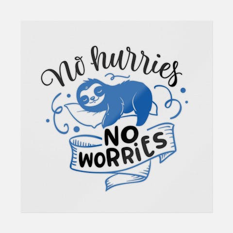 No Hurries No Worries - Ninja Transfers
