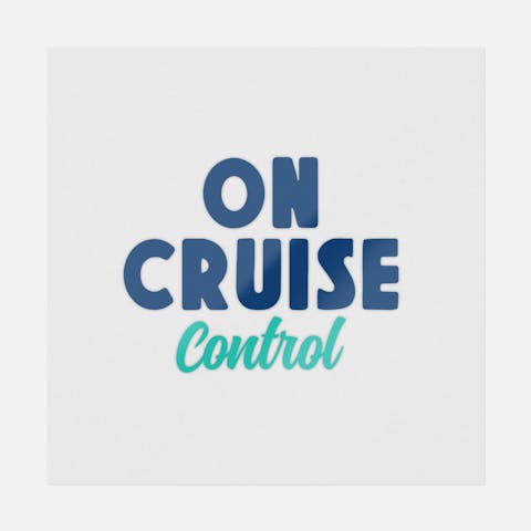 On Cruise Control - Ninja Transfers