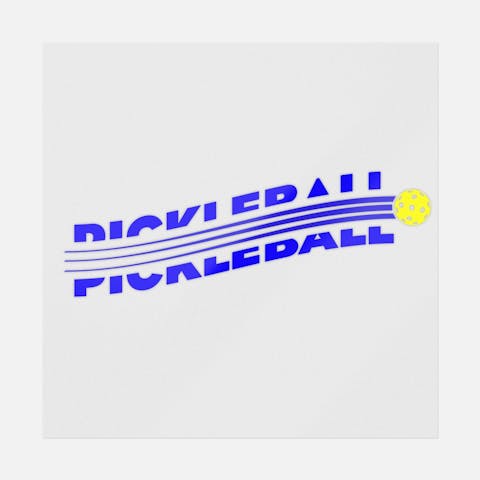 Pickleball Split - Ninja Transfers