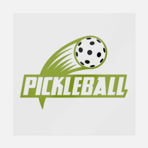 Pickleball - Ninja Transfers