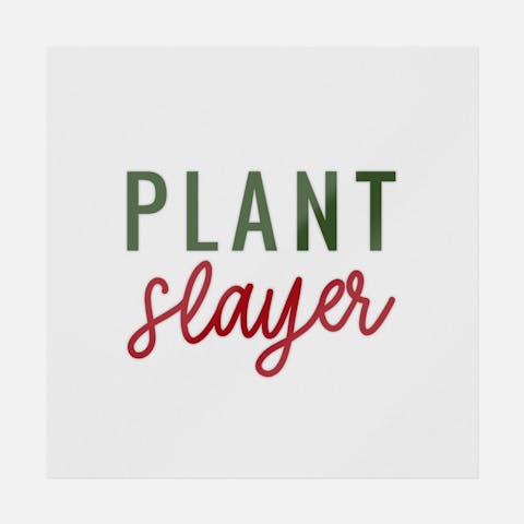 Plant Slayer - Ninja Transfers
