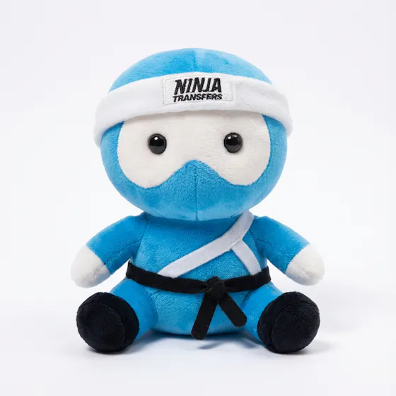 Free Ninja Dojo Defender