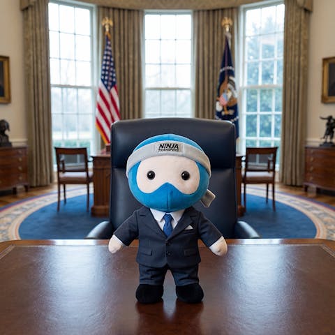 Ninja Plushie (AKA Dojo Defender)