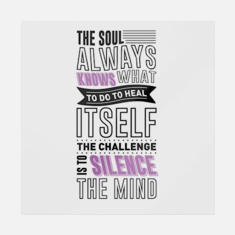 The Soul Always Knows What To Do - Ninja Transfers