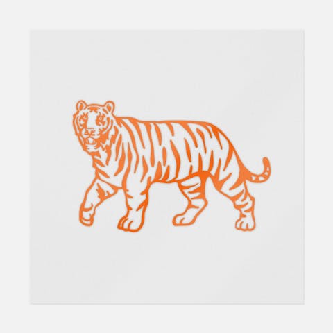Tiger Muay Thai - Ninja Transfers