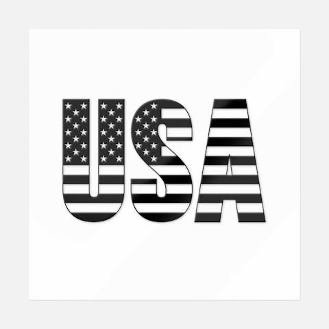 USA American Flag (Black & White) - Ninja Transfers