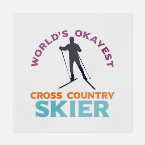World's Okayest Cross Country Skier - Ninja Transfers